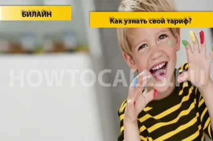 Як дізнатися свій тарифний план на Білайні - 4 способи (план) Як дізнатися свій тарифний план на Білайні - 4 способи