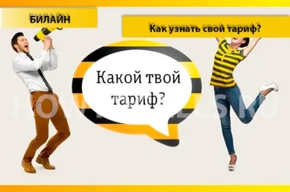 Як дізнатися свій тарифний план на Білайні - 4 способи (Білайн) Як дізнатися свій тарифний план на Білайні - 4 способи