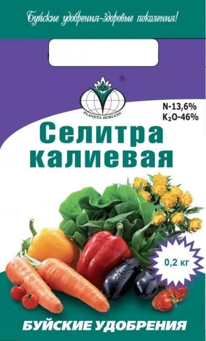 Як доглядати за помідорами