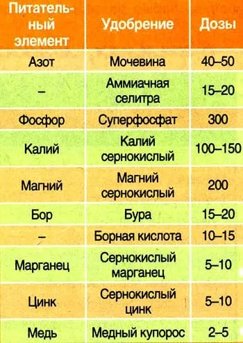 Як вносити добрива, підживлення для овочів (вносити) Як вносити добрива, підживлення для овочів