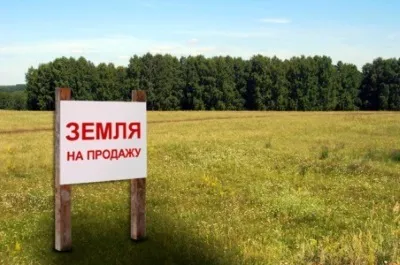 Як укласти договір купівлі-продажу земельної ділянки