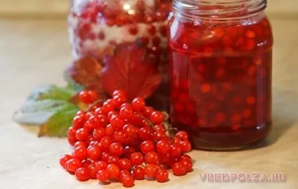 Калина корисні властивості і протипоказання (властивості) Калина корисні властивості і протипоказання