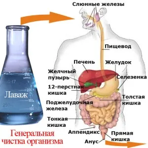 Кишковий лаваж методи очищення кишечника (кишковий) Кишковий лаваж методи очищення кишечника