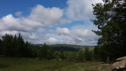 Картопля смажена (смажена картопля), їжа, відгуки (картопля) Картопля смажена (смажена картопля), їжа, відгуки