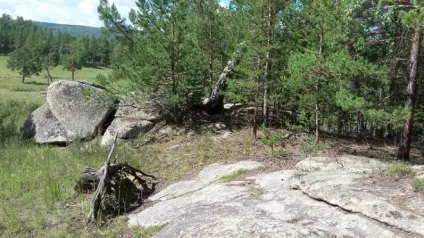 Картопля смажена (смажена картопля), їжа, відгуки (картопля смажена смажена) Картопля смажена (смажена картопля), їжа, відгуки