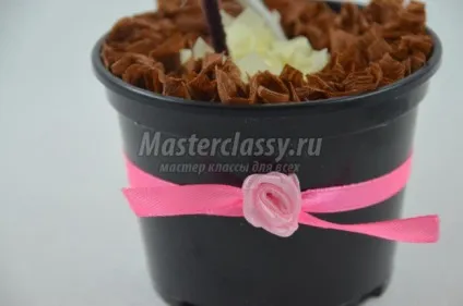 Кавове дерево - серце