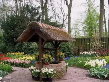 Колодязь на дачі фото (колодязь) Колодязь на дачі фото