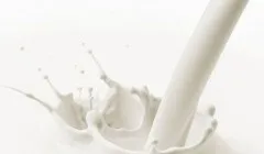 Хто дає поради нареченій