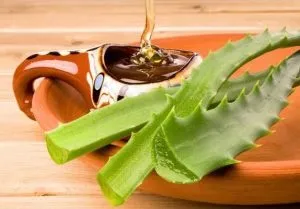 Лікування герпесу народними засобами і методами (народними) Лікування герпесу народними засобами і методами