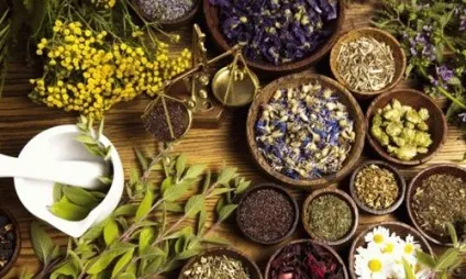 Лікування герпесу народними засобами і методами (народними) Лікування герпесу народними засобами і методами