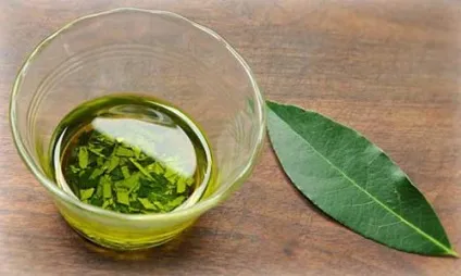 Лікування герпесу народними засобами і методами (засобами) Лікування герпесу народними засобами і методами