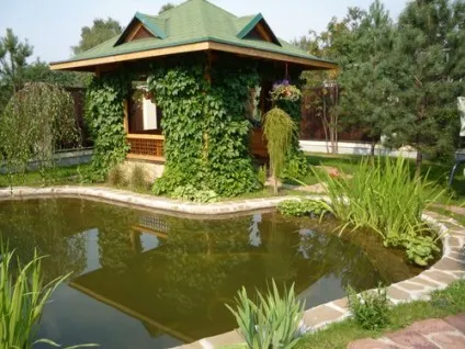 Ландшафтний дизайн заміського будинку фото добірка (фото) Ландшафтний дизайн заміського будинку фото добірка