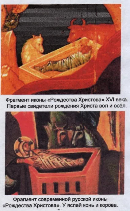 Куди летиш ти, червоний кінь