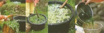Кращі добрива для овочів (добрива) Кращі добрива для овочів