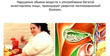 Литовит-о, таблетки, 140 г