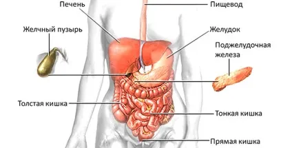 Литовит-о, таблетки, 140 г