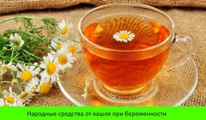 Кращі народні засоби від кашлю - перевірені рецепти народної медицини (кашлю народними засобами) Кращі народні засоби від кашлю - перевірені рецепти народної медицини