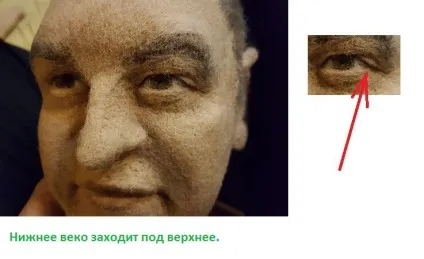 Особа ляльки для початківців (шерсть) Особа ляльки для початківців