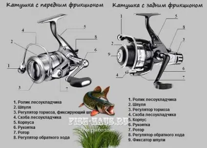 Ловля ляща на фідер на річці навесні і влітку (ляща) Ловля ляща на фідер на річці навесні і влітку