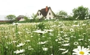 Мінімальний і максимальний розміри земельної ділянки під ІЖС (мінімальний) Мінімальний і максимальний розміри земельної ділянки під ІЖС