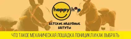 Механічна конячка Поніцикли що це таке і як вибрати (Поніцикли) Механічна конячка Поніцикли що це таке і як вибрати