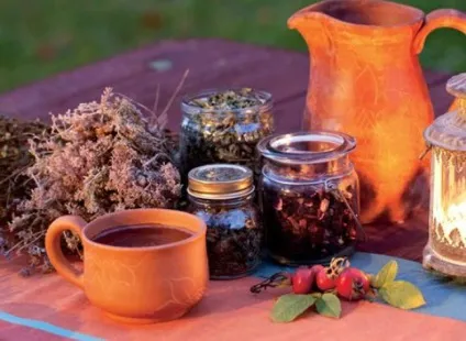 Метастази в печінці і лікування народними засобами (засобами) Метастази в печінці і лікування народними засобами