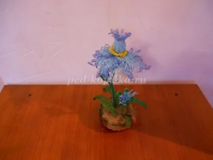 Захід в ЦДТ