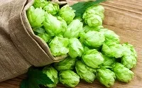 Чи можна вживати алкоголь при простатиті пиво при лікуванні простатиту (алкоголь) Чи можна вживати алкоголь при простатиті пиво при лікуванні простатиту