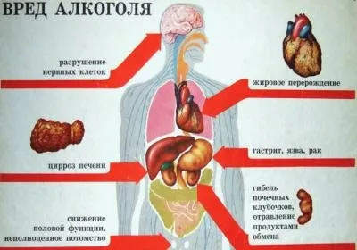 Чоловік портал поради по догляду собою і своїм здоров'ям (чоловічий) Чоловік портал поради по догляду собою і своїм здоров'ям