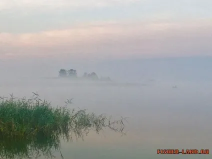 Чи не клює риба що робити