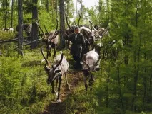 евенків