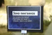Носіння холодної зброї, правила (максимально наблизити його прояв в самому собі.) Носіння холодної зброї, правила
