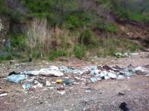 Громадський екологічний проект - чисті береги амура ( «Чисті береги Амура») Громадський екологічний проект - чисті береги амура