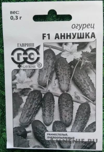 Огірок - аннушка - f1 відгуки, огірки з гарною схожістю