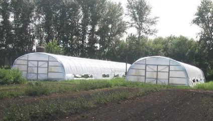 Ват плодорозсадник Жердєвський - продаж посадкового матеріалу і плодових культур (культур) Ват плодорозсадник Жердєвський - продаж посадкового матеріалу і плодових культур