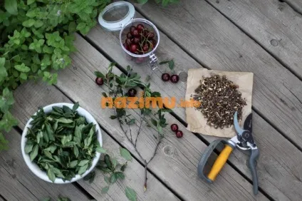 Огірки, солоні на зиму, як бочкові - рецепт заготовки з фото (зиму) Огірки, солоні на зиму, як бочкові - рецепт заготовки з фото