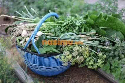 Огірки, солоні на зиму, як бочкові - рецепт заготовки з фото (огірки) Огірки, солоні на зиму, як бочкові - рецепт заготовки з фото
