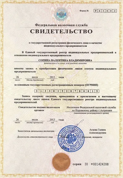 ІН - розшифровка коду, для чого він потрібен і як його дізнатися (необхідний) ІН - розшифровка коду, для чого він потрібен і як його дізнатися