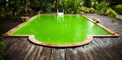 Освітлення води в басейні - засоби і методи для очищення (методи) Освітлення води в басейні - засоби і методи для очищення