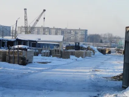Батько, чуєш, рубає, а я відводжу »як алтайський ліс китайцям продавали - иа regnum (Анатолію) Батько, чуєш, рубає, а я відводжу »як алтайський ліс китайцям продавали - иа regnum