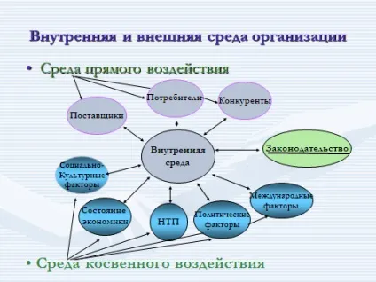 Організація як механізм і форма життя колективу (життя) Організація як механізм і форма життя колективу