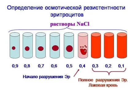 Осмотична або стійка резистентність еритроцитів - що це