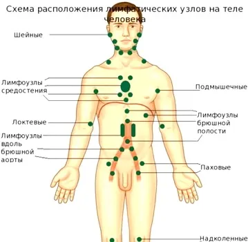 Чому маленька дитина сильно потіє (сильно) Чому маленька дитина сильно потіє