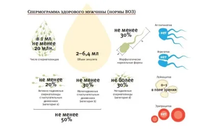 Піоспермія у чоловіків що це таке, причини, лікування, можливість вагітності