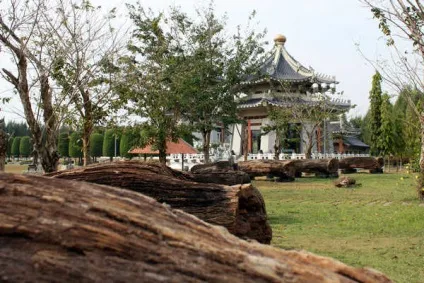 Парк трьох королівств і веселі картинки, asiasabai