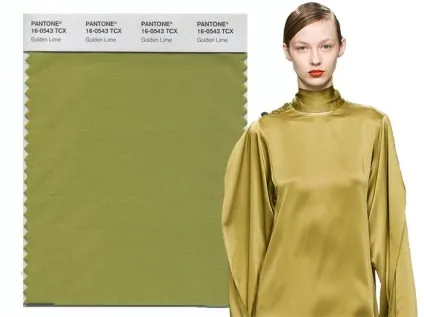 Pantone назвав 10 модних кольорів осінь-зима 2017-2018, femmie (квітів) Pantone назвав 10 модних кольорів осінь-зима 2017-2018, femmie