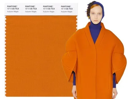 Pantone назвав 10 модних кольорів осінь-зима 2017-2018, femmie (назвав) Pantone назвав 10 модних кольорів осінь-зима 2017-2018, femmie