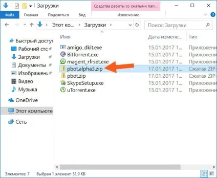 Pbot програма