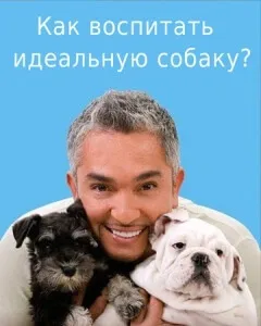 Чому собаки повторюють поведінку своїх господарів і інших собак (своїх) Чому собаки повторюють поведінку своїх господарів і інших собак