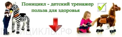 Поніцикли - це чудовий тренажер, корисний для здоров'я дитини (Поніцикли атракціон) Поніцикли - це чудовий тренажер, корисний для здоров'я дитини